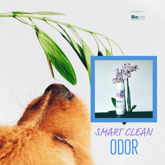 BioOrg Smart Clean ODOR